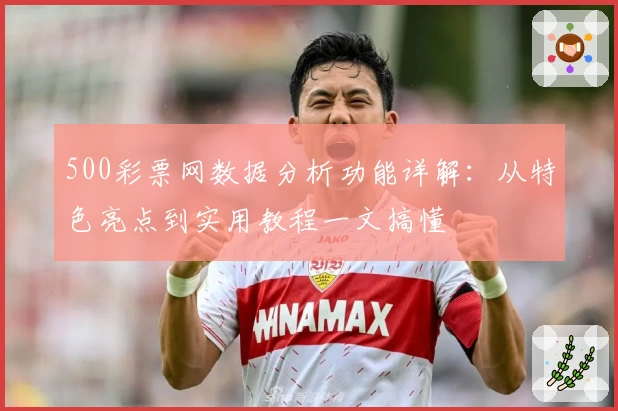 500彩票网数据分析功能详解：从特色亮点到实用教程一文搞懂