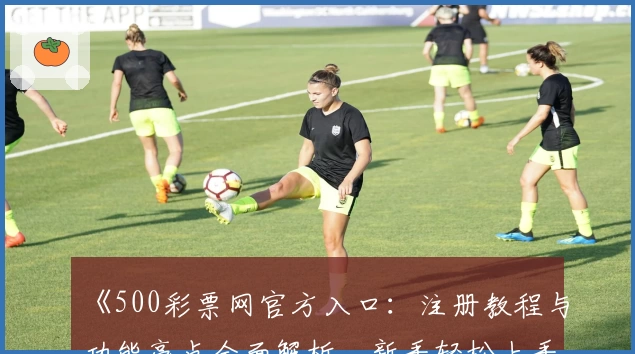 《500彩票网官方入口：注册教程与功能亮点全面解析，新手轻松上手指南》