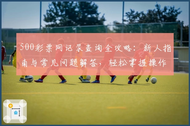 500彩票网记录查询全攻略：新人指南与常见问题解答，轻松掌握操作技巧
